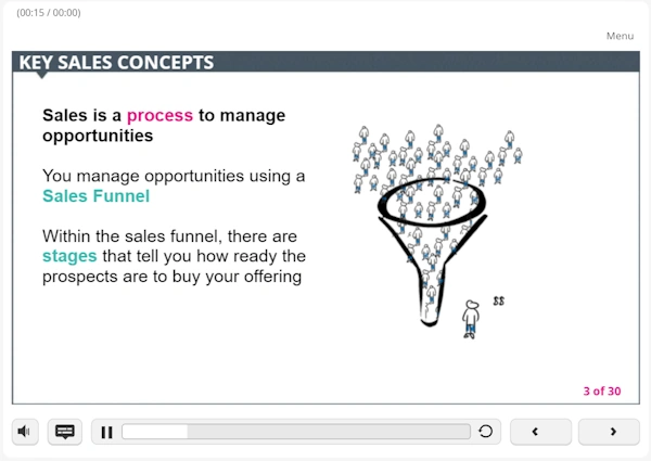 screenshot of slide from CEO training programs