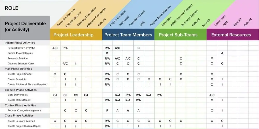 RACI project chart