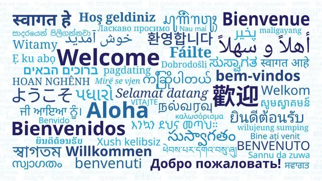 cost of elearning - translation
