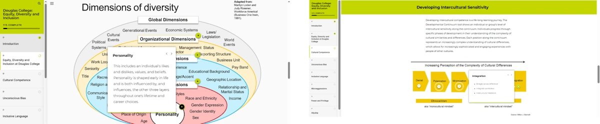 DEI Articulate examples